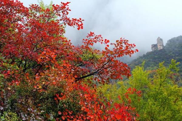 河南免费景区一览表2021年10月 附预约方式