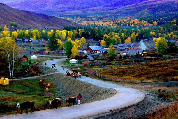 新疆禾木村最佳旅游时间 禾木村几月份去最美