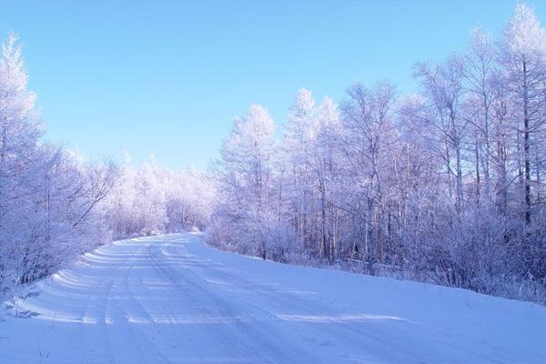 大兴安岭下雪了吗现在 冬天去大兴安岭玩什么