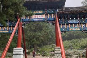 2021北京香山公园重阳登高游活动时间