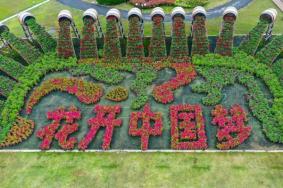 2021湖南省花博会上有哪些展区