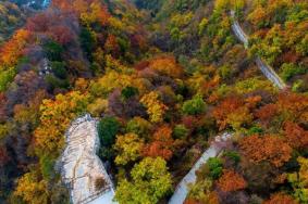 兰州周边看红叶有哪些地方