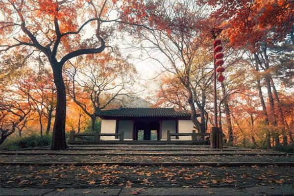 情侣苏州天平山赏枫一日游