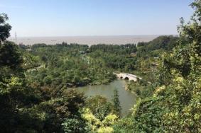 2021南通最佳赏桂花地点推荐