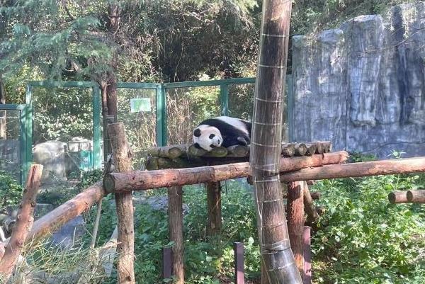 2021红山动物园南京都市圈游客半价活动