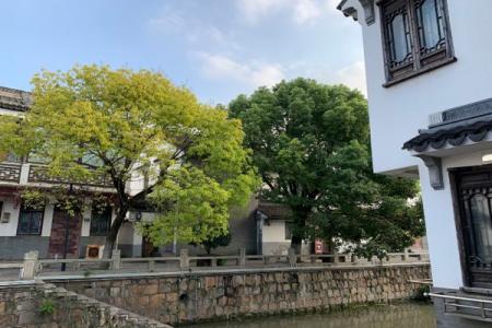 罗店古镇游玩攻略-门票价格-景点信息