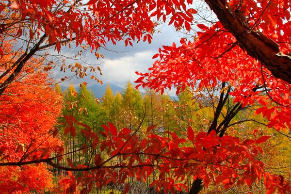 重庆北湖多彩植物园好玩景面及周边景面保举