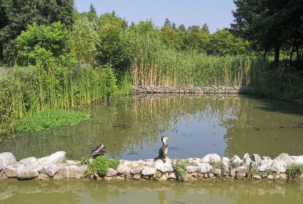 2021固城湖水慢城南京都市圈游客门票半价活动