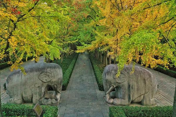 南京壓馬路賞秋應(yīng)該去哪里