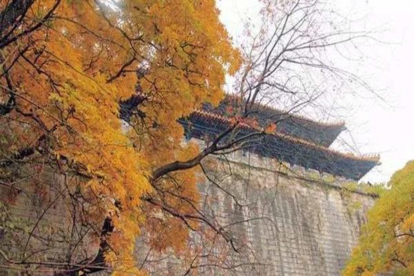 南京城最适合秋季游玩的地方