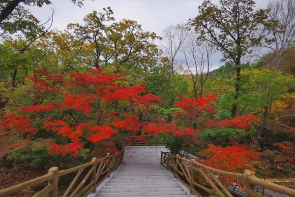 遼寧賞紅葉最美自駕游路線2021 