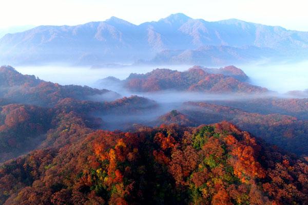 2022光霧山紅葉節最佳時間游玩攻略