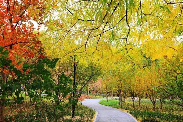 北京玉淵潭公園秋季好玩嗎