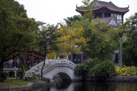 佛山顺德秋游景点推荐-游玩攻略