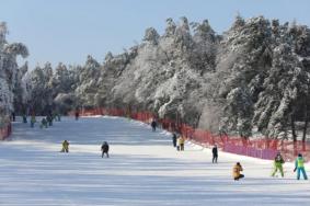 长春滑雪场哪个最出名 2021长春滑雪场哪个好玩