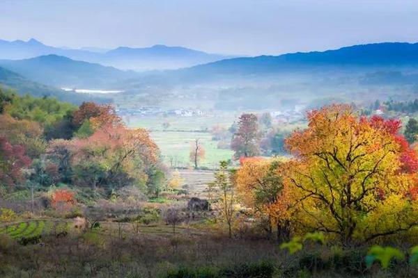 安徽紅葉哪里最好 安徽紅葉10大景點