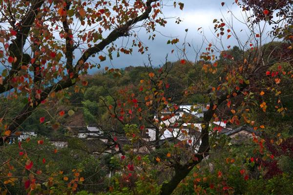 安徽紅葉哪里最好 安徽紅葉10大景點