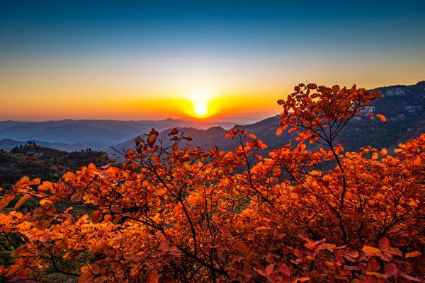 山東紅葉景區有哪些 山東紅葉最佳觀賞地 