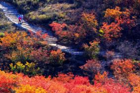 舞彩浅山哪个入口最好-开放登山口