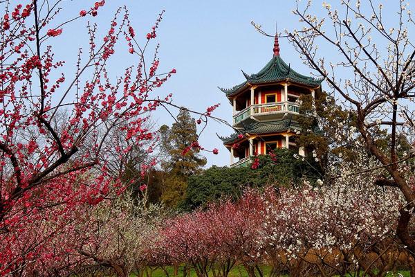 2021無錫梅園景點介紹