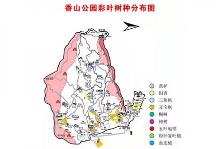 2024秋季北京香山公园登山路线推荐