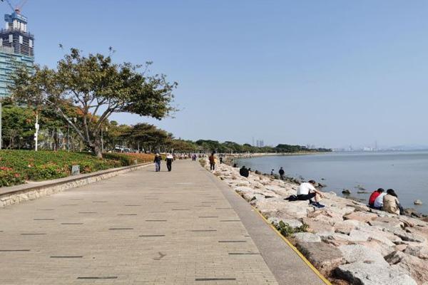 2024深圳湾公园旅游攻略-门票价格-景点信息