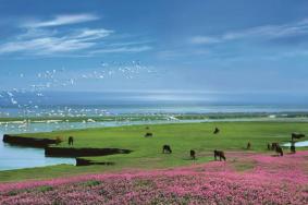 2021江西鄱阳湖门票及旅游攻略