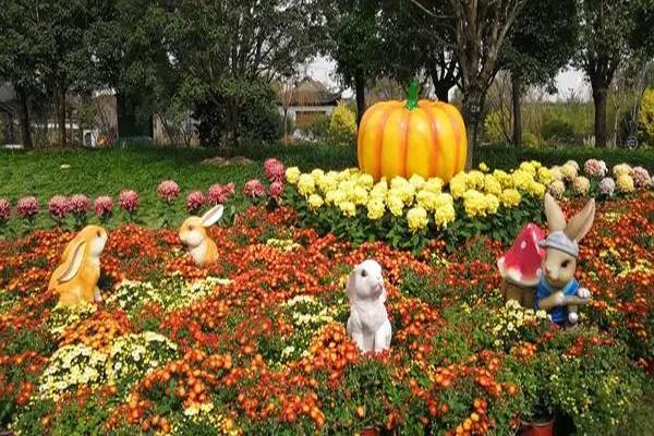 2021寧波植物園菊花展開始時(shí)間-附交通指南