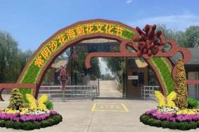 2021张家港常阴沙菊花展游玩攻略