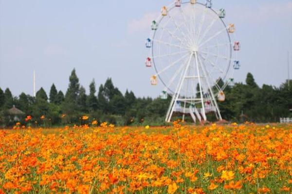 2021佛山梦里水乡百花园周年庆免费入园指南