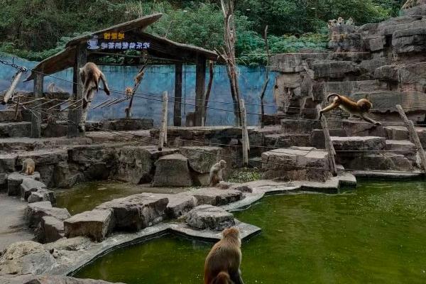 2021宁波雅戈尔动物园万圣节活动