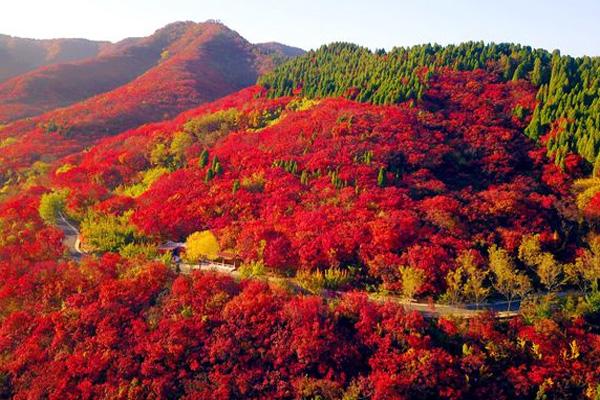 北京蟒山国家森林公园红叶几月最红 附观赏路线