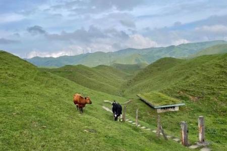 邵阳南山牧场门票多少钱景点介绍及游玩攻略