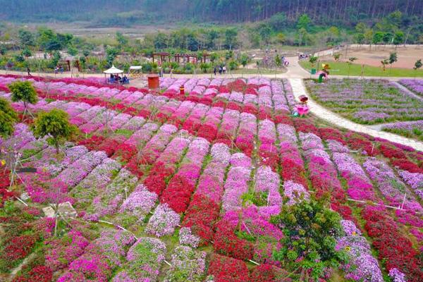 2021南宁花雨湖生态休闲旅游区对广西人民有哪些优惠