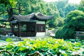 2021杭州秋季能赏景的骑行路线有哪些