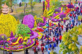 中山小榄菊花展2021开放时间-活动看点