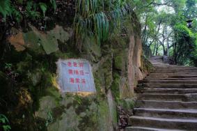 重庆南山黄葛古道自助游攻略