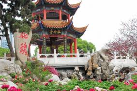 武汉东湖牡丹园门票价格及具体路线