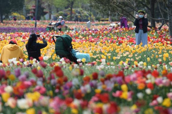 2021北京国际陈花港胡蝶大年夜天下11月3日起停息停业