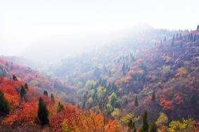杭州西山森林公园秋季游玩攻略