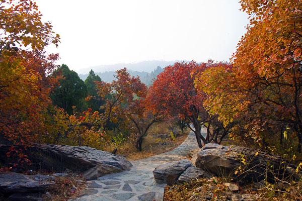 杭州西山森林公园秋季游玩攻略