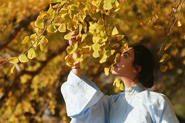 咸陽市興平銀杏文化節(jié)購票指南