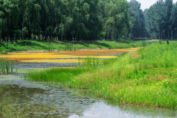 北京漢石橋濕地景區游船暫停運營公告