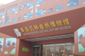 青岛贝林自然博物馆开放时间及交通指南