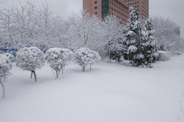 受降雪影响辽宁全省293个收费站已全部封闭