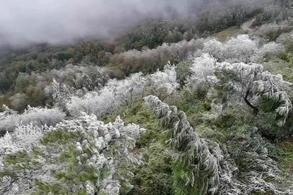 重庆渝北华蓥山下雪了吗2021