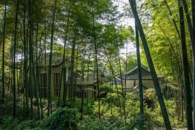 重庆茶山竹海景区最新入园公告