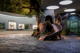 受疫情影响11月9日起成都大熊猫博物馆暂停对外开放的公告