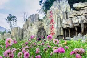 2021成都天府花溪谷11月9日暂时闭园公告