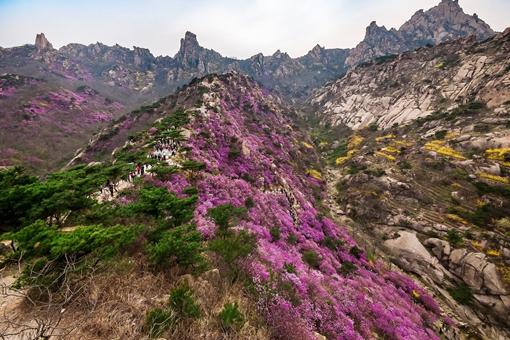 2021青岛大珠山游玩指南